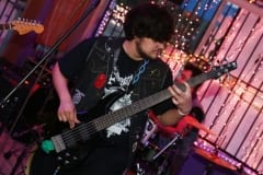 Stone-Wolf-5