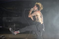 Fever 333-11