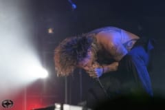 Fever 333-12