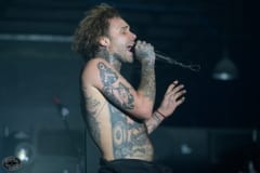 Fever 333-13