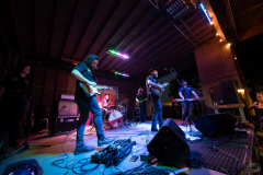 Cut-Throat-Finches-10