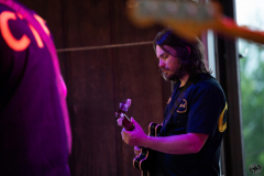 Cut-Throat-Finches-2