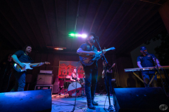 Cut-Throat-Finches-20