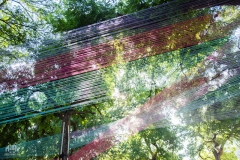 Fortress Fest (6 of 58) Fortress Fest (6 of 58)