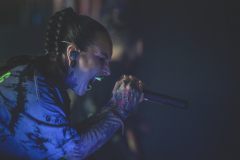jinjer-15