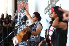 Metalachi (12)