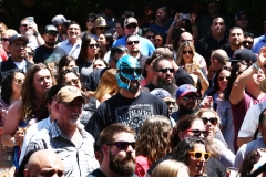 Metalachi (16)