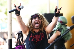 Metalachi (17)