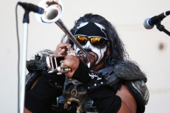 Metalachi (19)