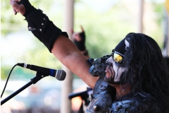 Metalachi (3)