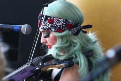 Metalachi (7)