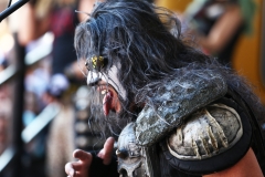 Metalachi (9)