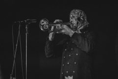 metalachi-16