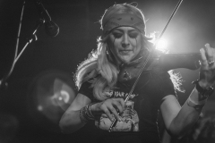 metalachi-2