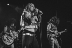 metalachi-4