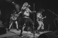 metalachi-5