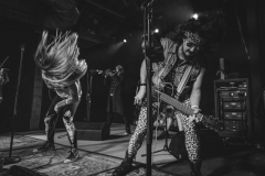 metalachi-9