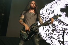 Poison (14)