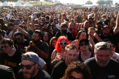 PunkinDrublic (46)