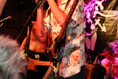 ThreeLinks (8)