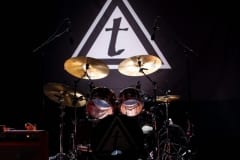 Toadies-1-1