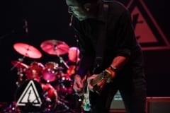 Toadies-20-1